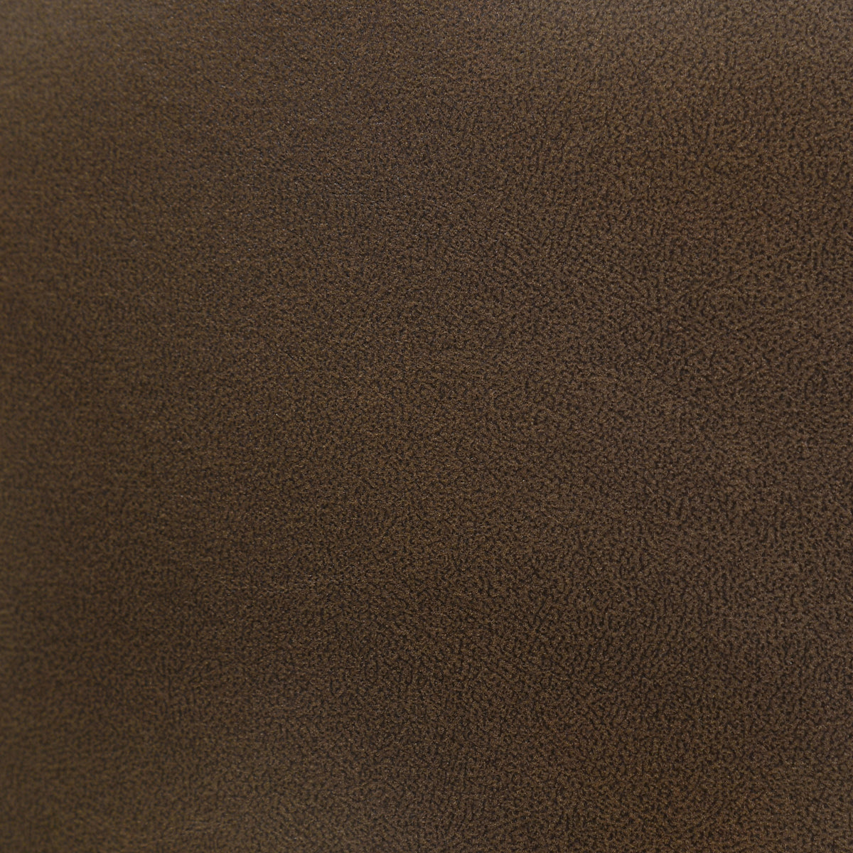 Randolph Dining Side Chair Butterscotch and Brown (Set of 2)