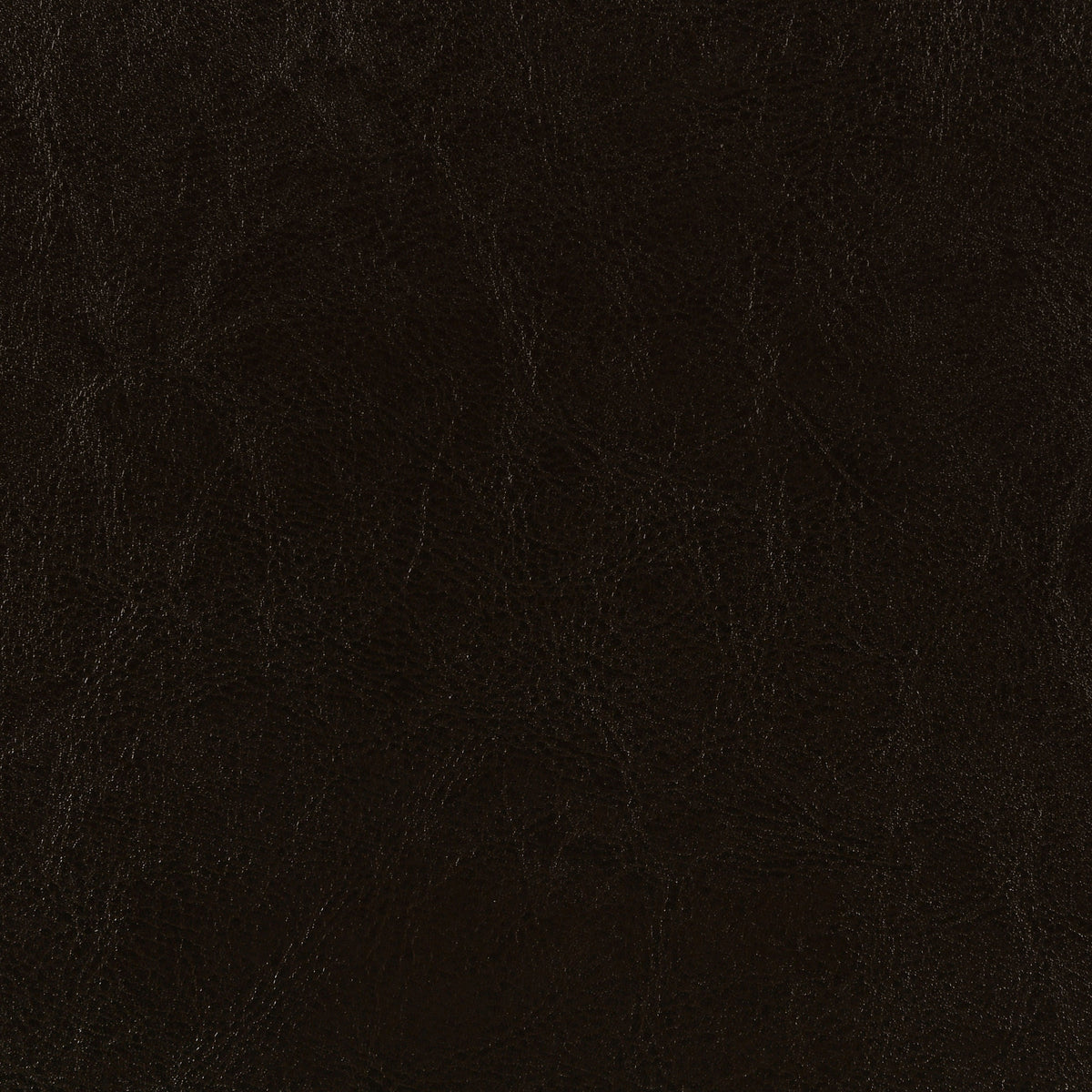 Dorian Faux Leather Upholstered Twin Panel Bed Brown