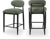 Riccio Performance Fabric Upholstered Counter Stool — 11049-C - Olive - 11049Olive-C Double Chair