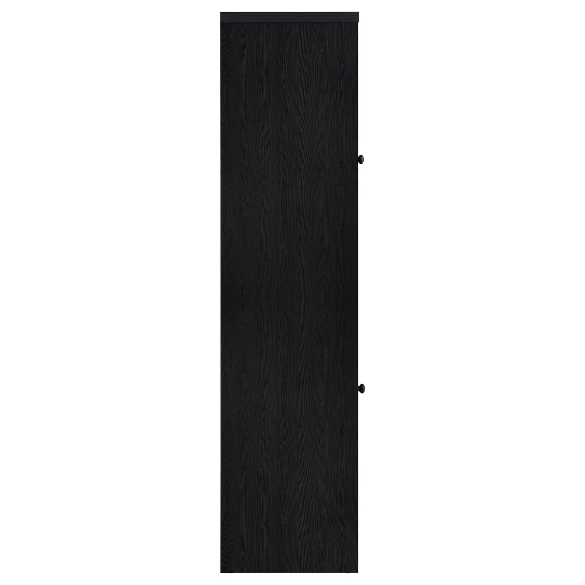 Denison 67-inch 2-door Media Tower Storage Cabinet Black
