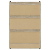 Denia 3-tier Engineered Wood Shoe Cabinet White