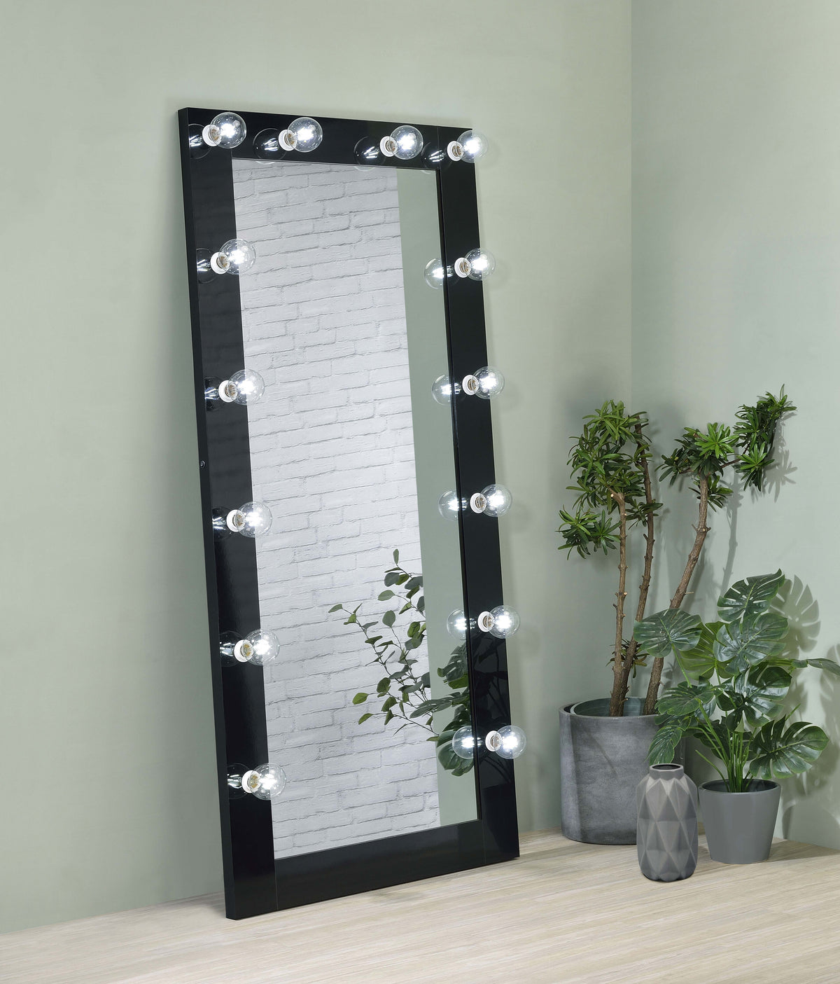 Zayan 32 x 71 Inch Floor Mirror LED Lighting Black High Gloss