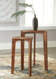 Brynnleigh Accent Table (Set of 2)