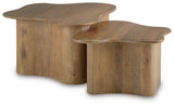 Abeford Accent Coffee Table (Set of 2)