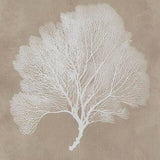 Hendridge Wall Art (Set of 3)