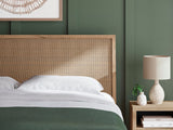 Cielden King Panel Bed, Dresser and Nightstand