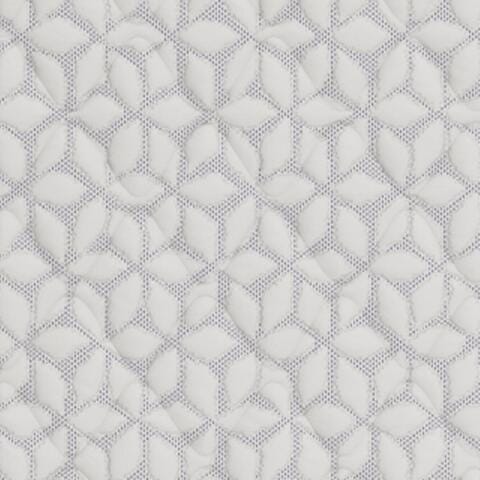 Limited Edition Firm Twin Mattress