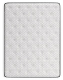 Limited Edition Plush Queen Mattress