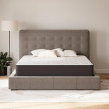 Limited Edition Plush California King Mattress