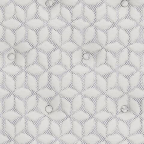Limited Edition PT Twin Mattress