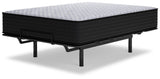 Anniversary Edition Plush Twin Mattress