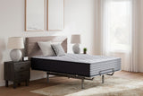 Anniversary Edition Plush Twin Mattress
