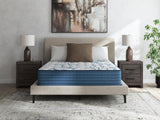 Limited Edition Plush 3.0 King Mattress