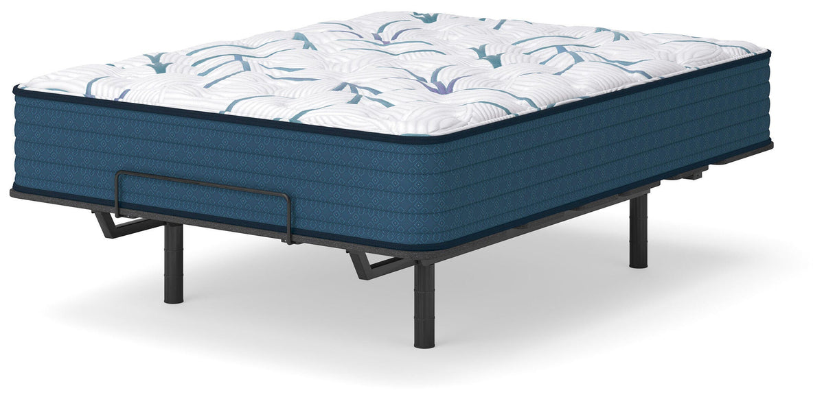 Limited Edition Plush 3.0 California King Mattress