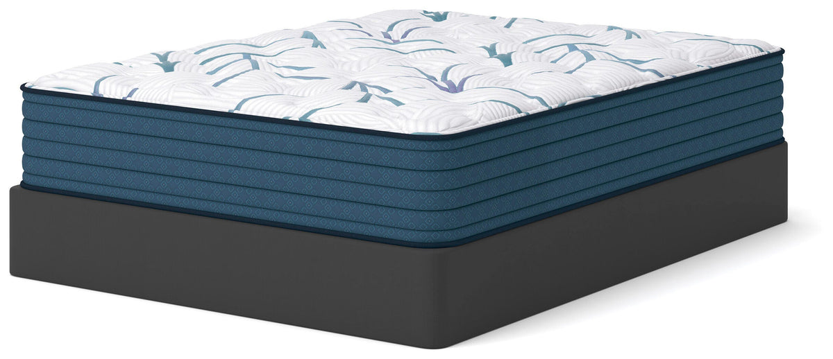 Limited Edition Plush 3.0 Twin Mattress