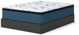 Limited Edition Plush PT 3.0 Twin Mattress