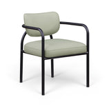 Meridian 77066Mint-C