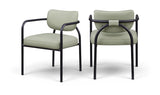 Meridian 77066Mint-C Mint