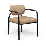 Meridian 77066Tan-C