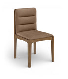 Meridian 88050Brown-C