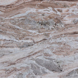 219Brown-CT Brown alternate view 9