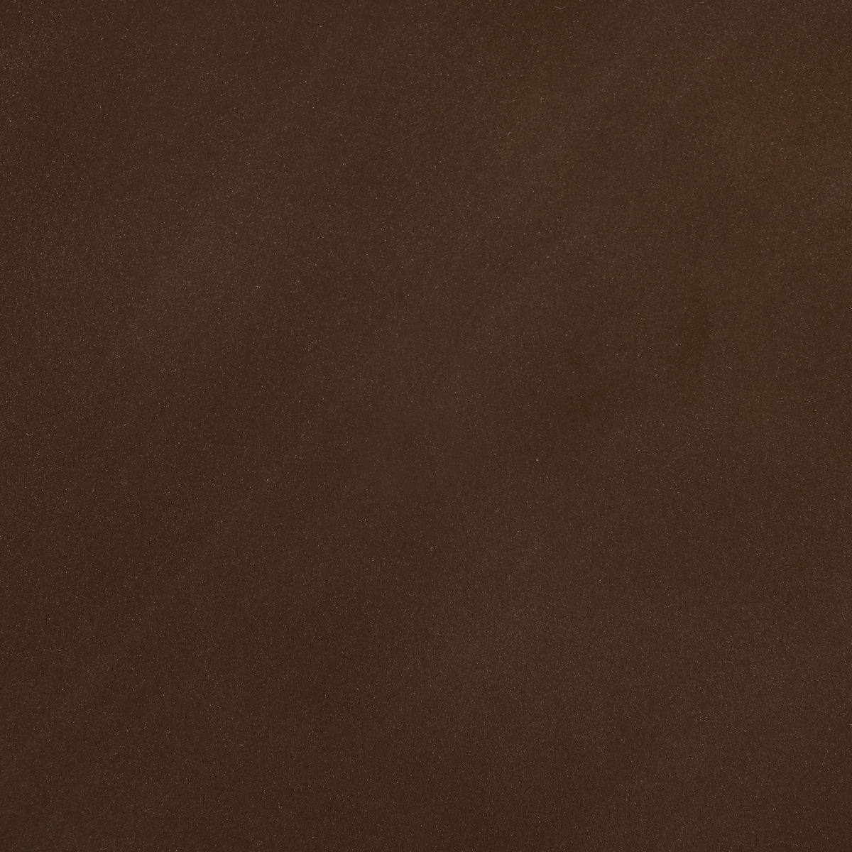 605Brown-CT Brown alternate view 6