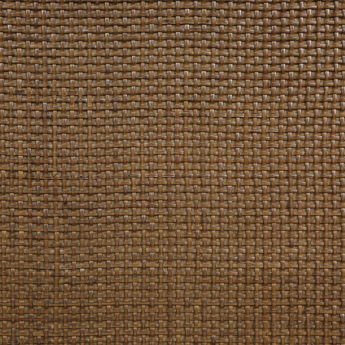 77052Brown-T Brown alternate view 10