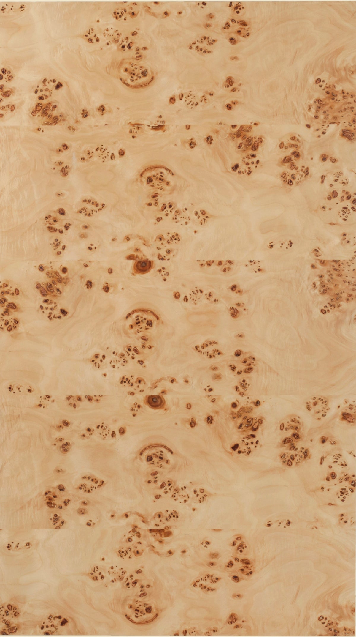 99015Burl-CT Natural Burl alternate view 6