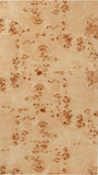 99015Burl-CT Natural Burl alternate view 6