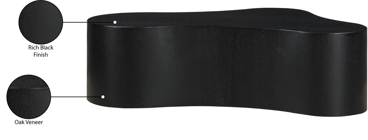 99067Black-CT Black product infographic
