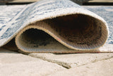 Daddridge Indoor/Outdoor 8' x 10' Rug