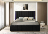 Florence Queen Size Black Platform Bed
