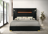 Romance2 Multicolor Queen Size Platform Bed