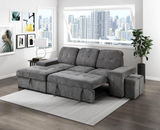 Kevin Sectional With Pull-Out Bed