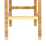 Amara Woven Rattan Performance Fabric Stool - Bar Height