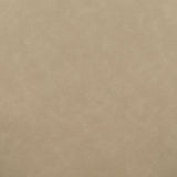 Vina Performance Vegan Leather Dining Chair - Taupe