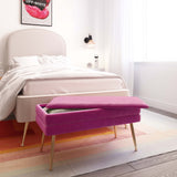 Ziva 31" Velvet Storage Bench - Plum