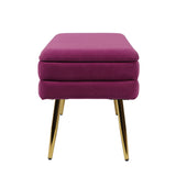 Ziva 31" Velvet Storage Bench - Plum
