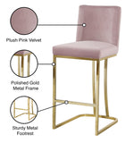 Heidi Velvet Upholstered Counter Stool — 777-C - Pink - 777Pink-C Infographic