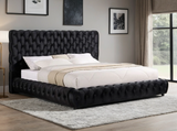 Dream Black Queen Platform Bed | Olivia Furniture