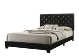 Lana Black Diamond Tufted Queen Bed | Olivia Furniture
