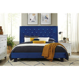 Queen Velvet Platform Bed Blue - Olivia Furniture