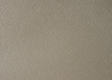 Lila Champagne Full Upholstered Panel Bed