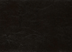 Jannie Brown PU Leather King Upholstered Platform Bed