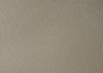 Lila Champagne Queen Upholstered Panel Bed