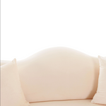 Naya Peche Velvet Loveseat