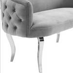 Adina Grey Velvet Loveseat