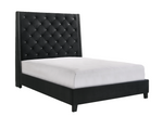 Chantilly Velvet Black Upholstered Queen Bed - Olivia Furniture