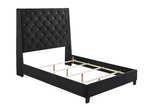 Chantilly Velvet Black Upholstered Queen Bed - Olivia Furniture
