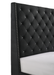 Chantilly Velvet Black Upholstered Queen Bed - Olivia Furniture